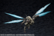 HEXA GEAR 1/24: Rayblade Impulse [Reloadead] Collector's Edition  - KOTO-HG144 [4934054056316]