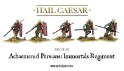 Hail Caesar: Greeks: Persian Immortals Regiment 