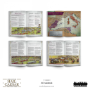 Hail Caesar The Punic Wars: Epic Battles: The Punic Wars Rulebook - 1110000001 [9781915319692]