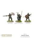 Hail Caesar: Vikings: Icelandic Vikings 