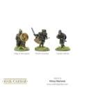 Hail Caesar: Vikings: Warlords 