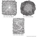 IWATA: Artool Texture FX 2 Freehand Airbrush Template by Gerald Mendez 