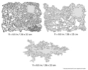 IWATA: Artool Texture FX Freehand Airbrush Template 