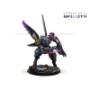 Infinity Combined Army (#1014): Caskuda vs Maxiumus - COR280049-1014 [8436607710820]