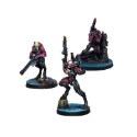 Infinity Combined Army (#984): Shasvastii Expansion Pack Alpha 