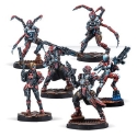 Infinity Nomads (#1055): Reinforcements Pack: Alpha 