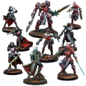 Infinity: Nomads: (#995): Bakunin Observance Action Pack  