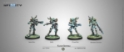 Infinity Tohaa (#748): Kaauri Sentinels 