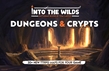 Into the Wilds Battlemap Books: Dungeons and Crypts - TCITW01005 [5065015386049]