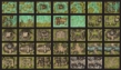 Into the Wilds Battlemap Books: Swamps and Ruins - TCITW01006 [5065015386056]