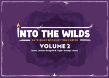 Into the Wilds Battlemap Books: Volume 2 - TCITW01008 [5065015386070]