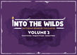 Into the Wilds Battlemap Books: Volume 2 - TCITW01008 [5065015386070]