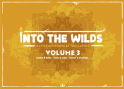 Into the Wilds Battlemap Books: Volume 3 