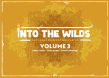 Into the Wilds Battlemap Books: Volume 3 - TCITW02004 [5065015386223]
