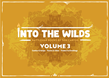 Into the Wilds Battlemap Books: Volume 3 - TCITW02004 [5065015386223]