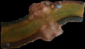 JR Miniatures: 15mm Finished: River Ford (Muddy) 