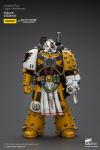 Joytoy: Warhammer 40K: Imperial Fists: Legion Apothecary 