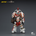 Joytoy: Warhammer 40K: White Scars Game Edition Assault Intercessor Champion with Thunder Hammer and Bolt Pistol 