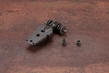 Zoids: Customize Parts Booster Cannon Set, Plastic Model Kit - KOTO-ZD149 [4934054027187]