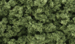 Woodland Scenics: Bushes- Light Green (Small Bag) - WS145 WSCFC145 [724771001454]