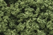 Woodland Scenics: Clump Foliage- Light Green (Large Bag) - WS182 [724771001829]