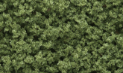 Woodland Scenics: Underbrush- Light Green (32oz Shaker) 