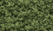 Woodland Scenics: Underbrush- Light Green (Small Bag) - WS135 WSCFC135 [724771001355]