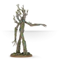 Lord Of The Rings: Ent 