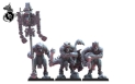 Lost Kingdom Miniatures: Cuetzpal Empire: Ezocamatl Command Group 