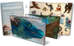MAGICAL KITTIES SAVE THE DAY: Game Master Kit - ATG3125 [9781589782471]