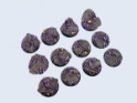 Micro Art Studio: Possessed Bases: Round 25mm 