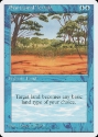 MTG: 4th Edition 089: Phantasmal Terrain 