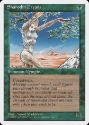 MTG: 4th Edition 271: Shanodin Dryads 