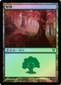 MTG: Avacyn Restored (243): Forest (Simple Chinese Foil) 