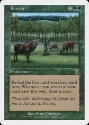 MTG: 7th Edition 266: Rowen 
