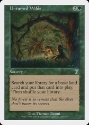 MTG: 7th Edition 279: Untamed Wilds 