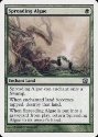 MTG: 8th Edition 281: Spreading Algae 