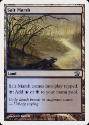 MTG: 8th Edition 325: Salt Marsh 