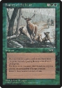 MTG: Alliances 085: Bounty of the Hunt 