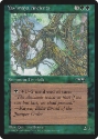 MTG: Alliances 104a: Yavimaya Ancients (No Horse) 