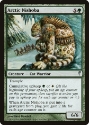 MTG: Coldsnap 102: Arctic Nishoba 