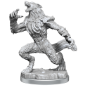 MTG Miniatures: Arlinn Kord/Tovolar - 90398 [634482903988]