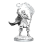 Dungeons &amp; Dragons Nolzur’s Marvelous Miniatures: Elf Cleric Male - 90404 [634482904046]