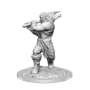 Dungeons &amp; Dragons Nolzur’s Marvelous Miniatures: Ogre Female - 90426 [634482904268]