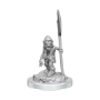 Dungeons &amp; Dragons Nolzur’s Marvelous Miniatures: Redcaps - 90438 [634482904381]