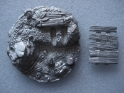 Malifaux: Bayou Bases: 50mm 