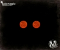 Malifaux Markers: Reactivated Markers (2) 