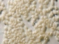 Vallejo Diorama Effects: Mat Gel Base 