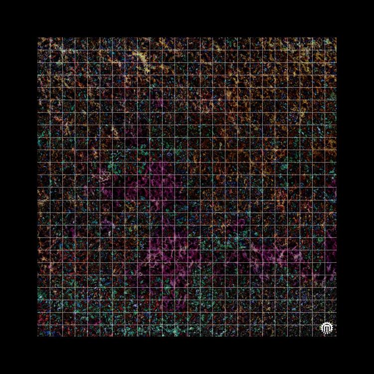 Mats by Mars (3x3): Mushroom Forest (1" Grid) 