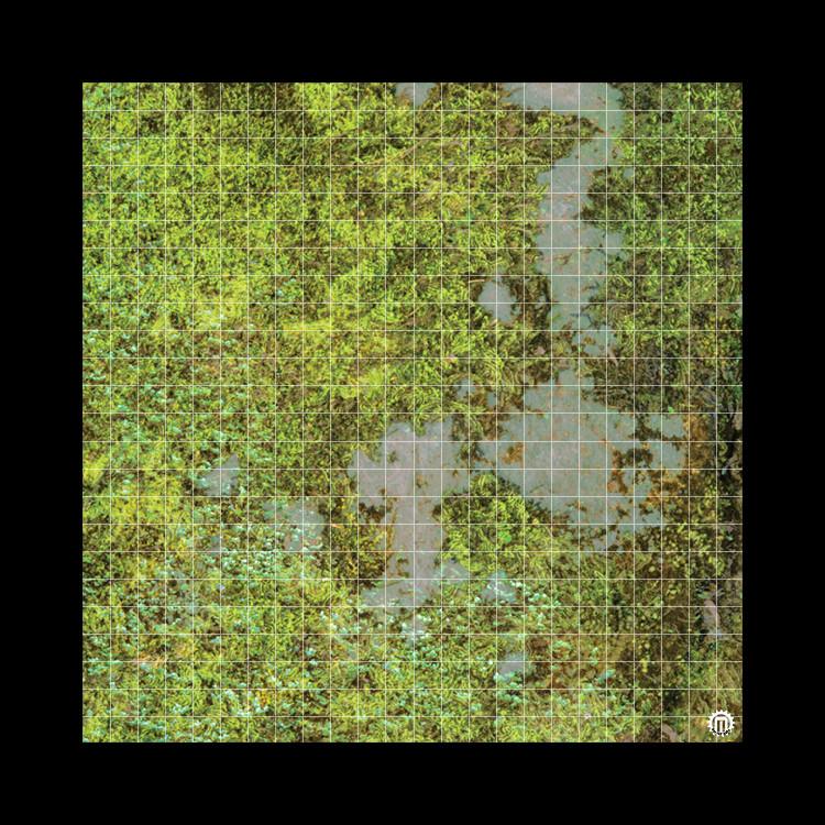 Mats by Mars (3x3): Swamplands v1.0 (1" Grid) 